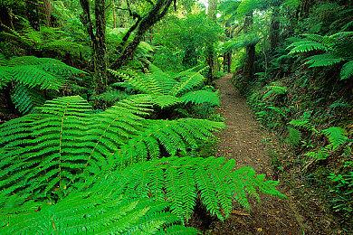 《生化危机2+3+7》PS5实体版12月6日开售 29.99刀